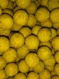 The Hype Boilies 5kg
