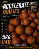 Accelerate Boilies 5kg