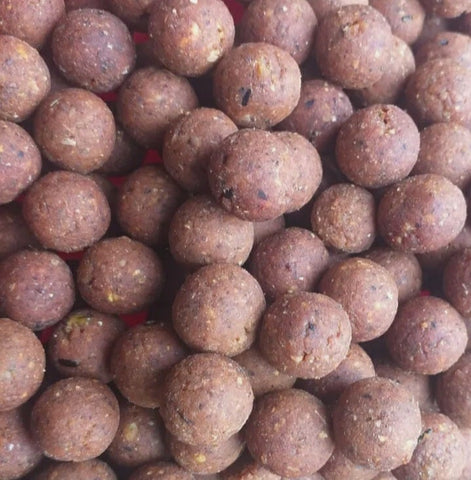 10kg Plum Boilies 16mm